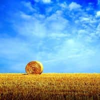 Get The Entire Network