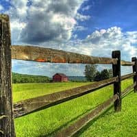 Listing Quality Score