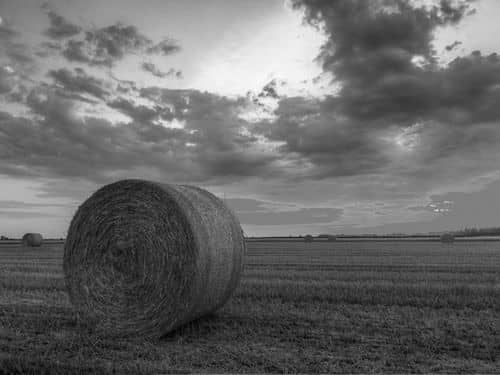 Piney Creek Estate : Banner : Sheridan County : Wyoming