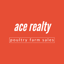 Rick Evans : Ace Realty
