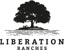 Paula Casas : Liberation Ranches