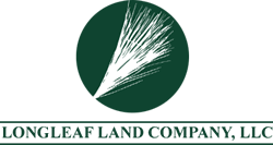 Jody Jones @ Longleaf Land Co. LLC