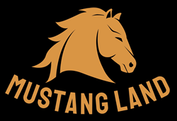 Larry Murrell : Mustang Land LLC