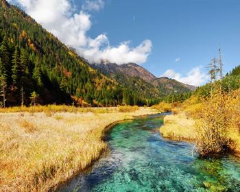 A Low-Risk Strategy For Buying Recreational Land