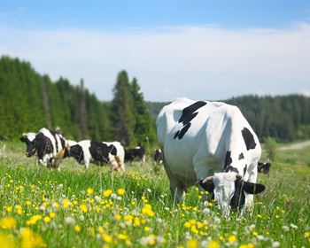 Agricultural Robotics is Revolutionizing Farming