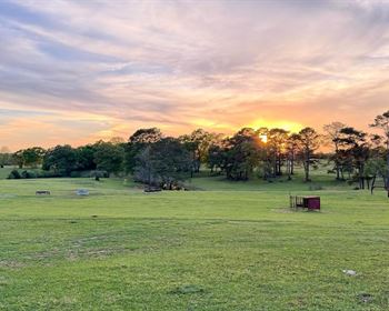Alabama Cattle Farm Offers Old Southern Feel