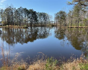 Alabama Recreational Tract with 2 Acre Stocked Pond