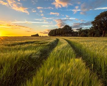 Avoid Residential Agents When Selling Rural Land