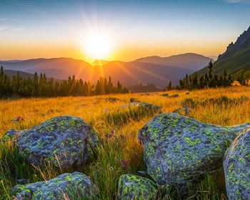 Encouraging Kids to Embrace the Outdoors