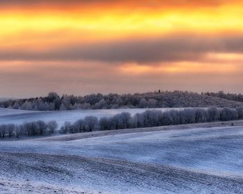 Fields of the Future: The Role of Robotics in Revolutionizing Agriculture