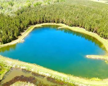 Hunting and Recreational Tract with Pond