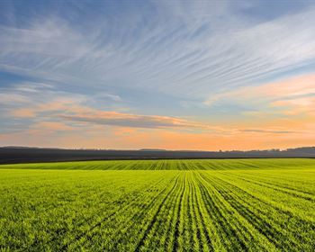 Intuitive Forecast of Agriculture Investment Trends of 2024