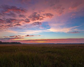 Land Q&A: Buying Hunting Land in a Partnership