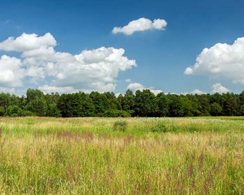 Land Q&A: Buying Land to Shoot On