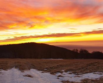 Land Q&A: Buying Land When Mineral Rights Don’t Convey