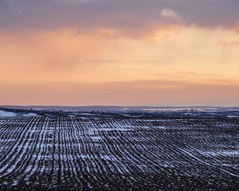 Pulse: Americans Hold Bold Optimism for 2026 Ag Economy