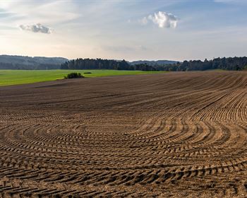 Soil Science: Understanding Its Composition and Significance