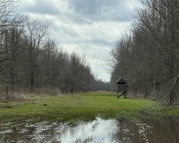 Turnkey WRP Recreational & Hunting Tract in Louisiana