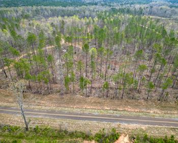 Walnut Creek Farm Offers Good Hunting, Water Features