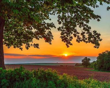 Why Remote Workers Are Driving Up Demand for Recreational Land