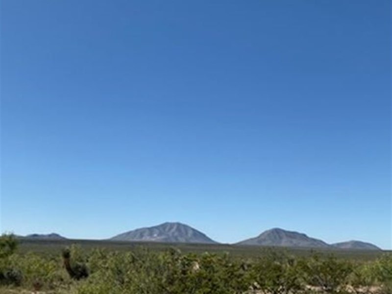 20 Acres with Electricity $399/Mo : Sierra Blanca : Hudspeth County : Texas