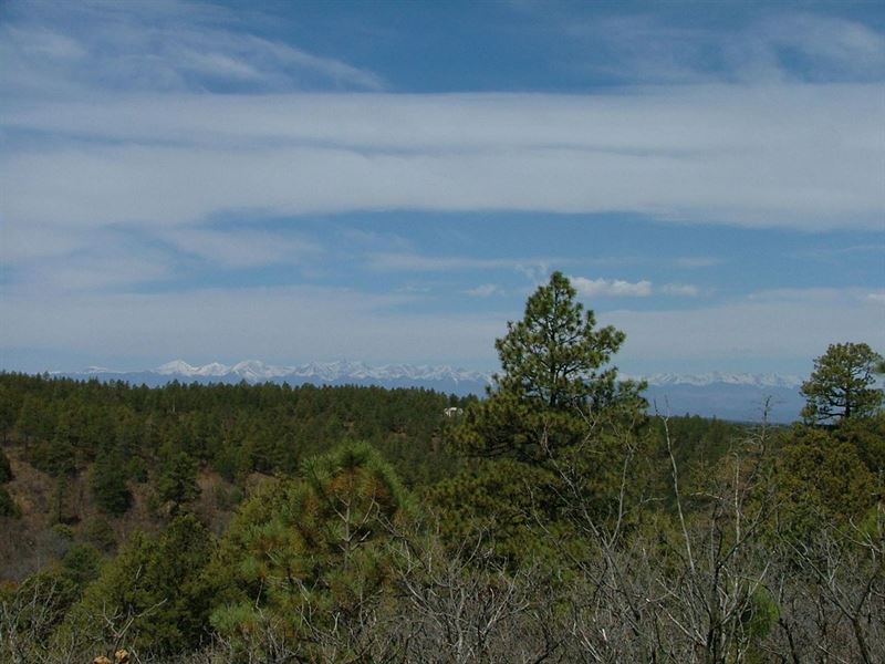 E4 Santa Fe Trail Ranch : Trinidad : Las Animas County : Colorado
