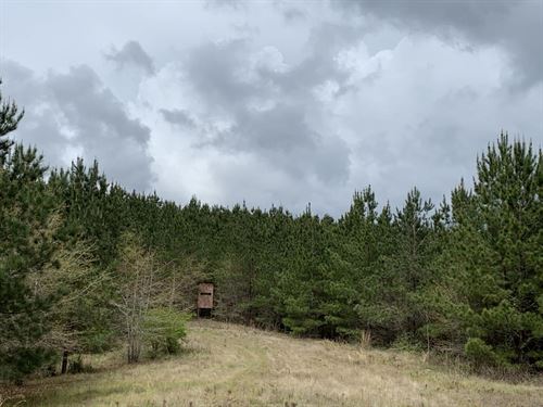 120 Acres For Sale in Perry Cou : Heiberger : Perry County : Alabama