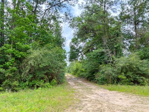 14 Acres, A6 FM 2937 : Silsbee : Hardin County : Texas