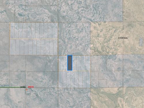 10 Acres in The Southwest : Columbus : Luna County : New Mexico