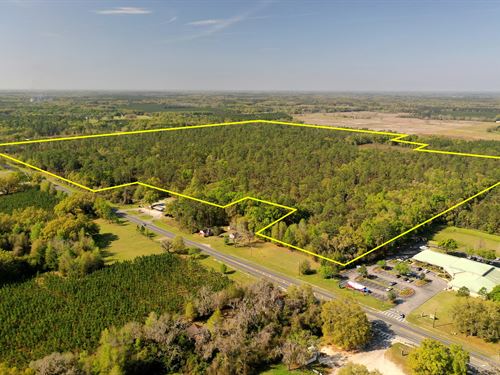 Live Oak 145 AC Development Parcel : Live Oak : Suwannee County : Florida