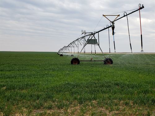 6332 Acre Fry Farm, Price Reduced : Keyes : Cimarron County : Oklahoma