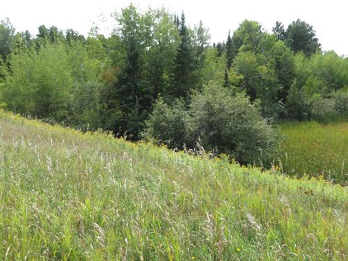 Crescent Parcel on Water : Crescent : Oneida County : Wisconsin
