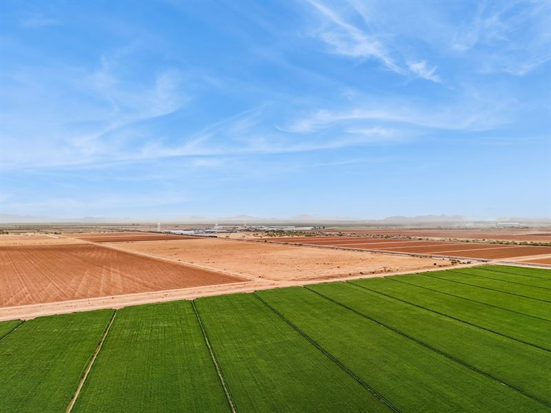 Eloy Farm Ground : Eloy : Pinal County : Arizona