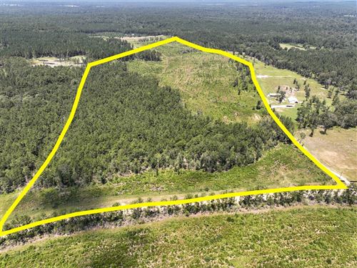 61 Acres, T-7 Stryker Mill : Corrigan : Polk County : Texas