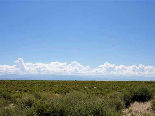 Build Ready Land with Mountain View : Alamosa : Colorado