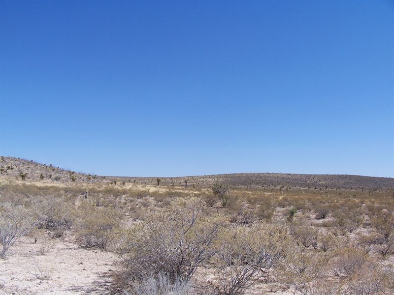 Live On 20 Acres for $0 Down : Sierra Blanca : Hudspeth County : Texas