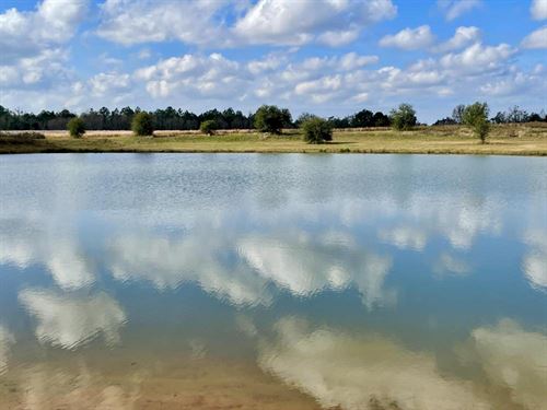 Daphne Belforest Fish River : Daphne : Baldwin County : Alabama
