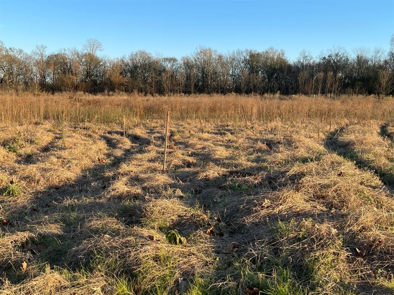 La, Richland 5.3 Acre Lot : Archibald : Richland Parish : Louisiana