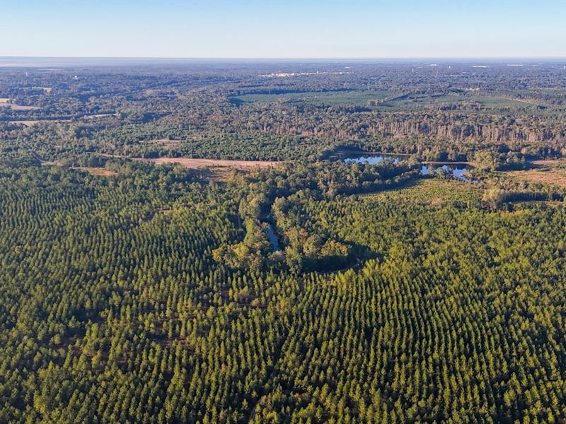 Buckeye Road Tract : East Dublin : Laurens County : Georgia