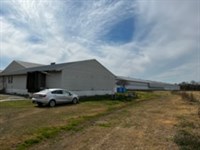 Amazing Income Poultry Layer Farm : Odum : Wayne County : Georgia