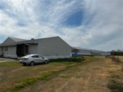 Amazing Income Poultry Layer Farm : Odum : Wayne County : Georgia