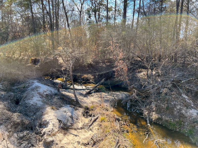 55 Acres, Paces Creek T3076-10 : Corrigan : Polk County : Texas