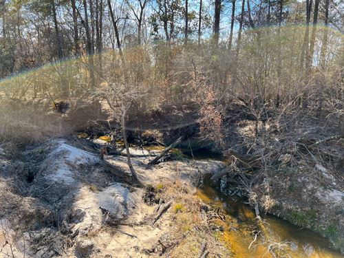 55 Acres, Paces Creek T3076-10 : Corrigan : Polk County : Texas