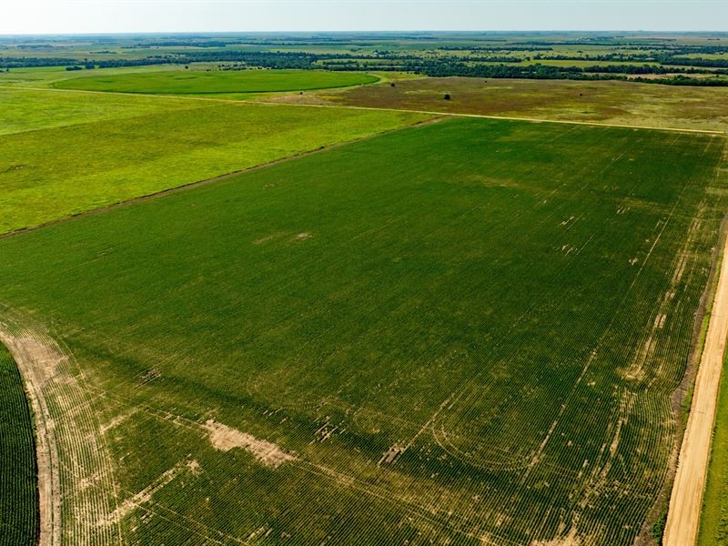 Edwards County 80 : Lewis : Edwards County : Kansas