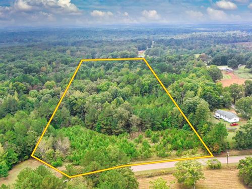 10 Acres TN, Private, No HOA Land : Henderson : Chester County : Tennessee