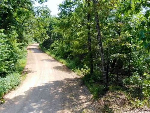 Homestead Friendly 5 Acres : Gainesville : Ozark County : Missouri