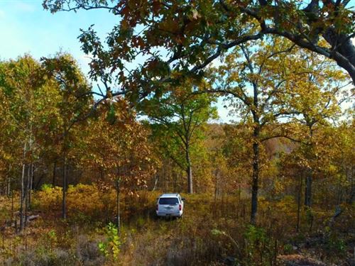 Owner Financed Land in The Ozarks : Lebanon : Laclede County : Missouri