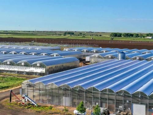 Brighton Organic Greenhouses : Brighton : Adams County : Colorado