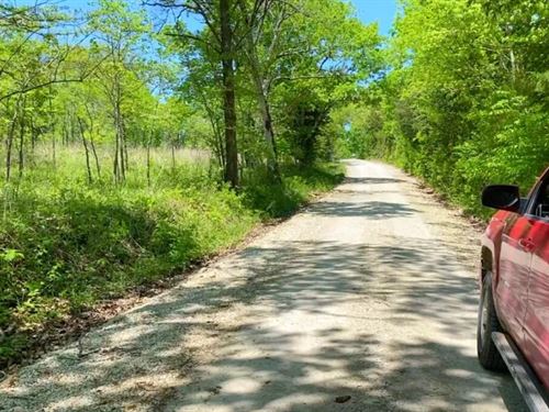 Owner Financed 10 Acres : Macks Creek : Camden County : Missouri