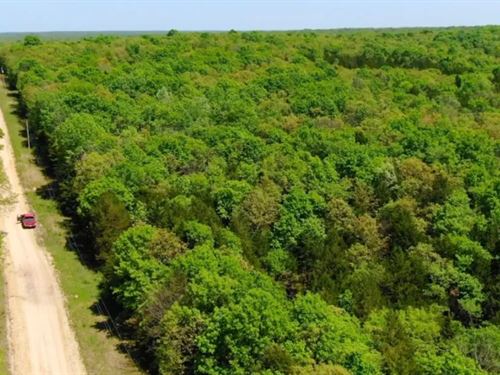 Owner Financed 10 Acres : Macks Creek : Camden County : Missouri